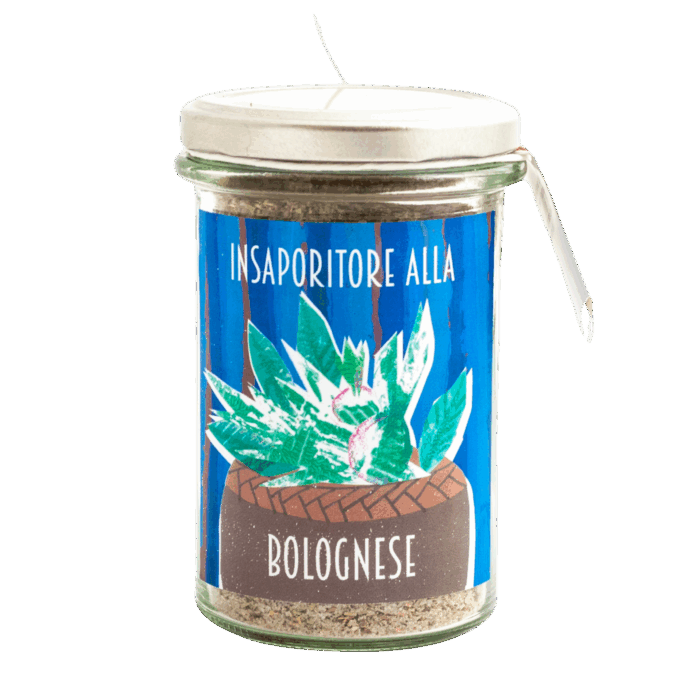 insaporitore