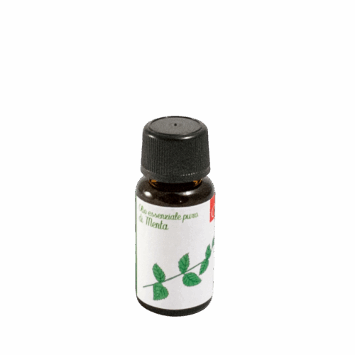 olio-menta