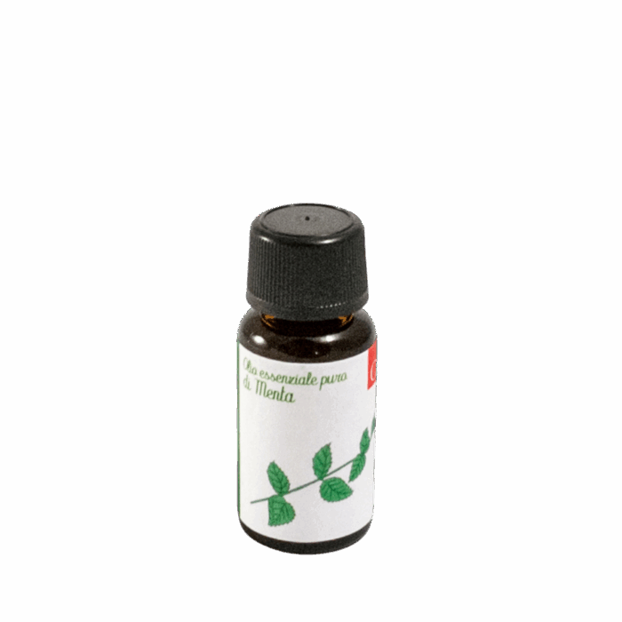 olio-menta