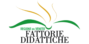 logo-fattorie-didattiche-veneto-trasp Fattorie didattiche Ca'Leido