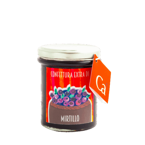 confettura-mirtilli