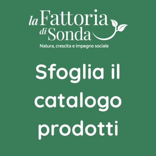 catalogo-prodotti